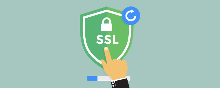 SSL Nedir